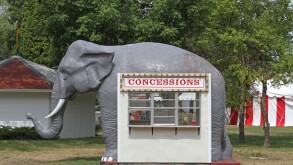 A concession stand shaped like an elephant at the Circus World Museum.