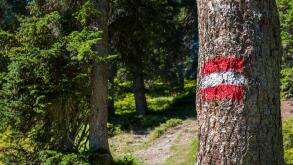 Austrian hiking blaze or trail marker, Austria, Europe