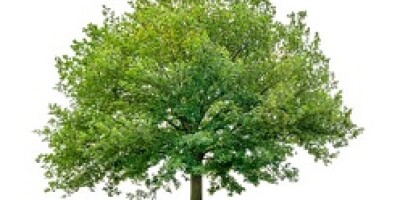 UniCredit green bonds