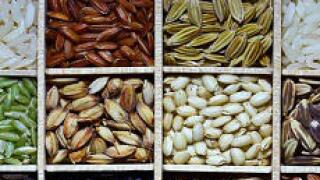 Grains, rice