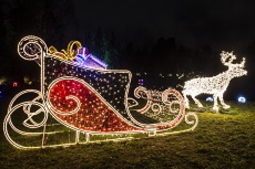 Santa Sleigh