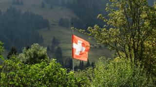 Swiss flag in Gruyere region, Switzerland