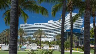 PALM TREES FOUNTAINEBLEAU HILTON HOTEL MIAMI BEACH FLORIDA USA