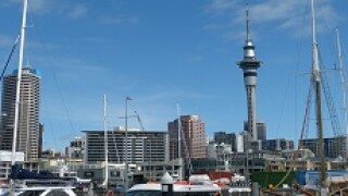 Auckland 230