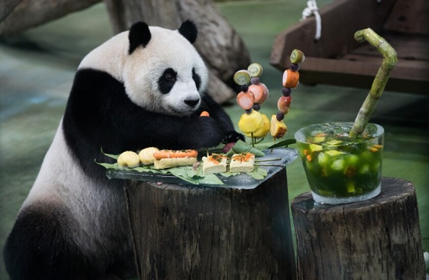 Panda_bond_China_PA_575X375_07Jul20