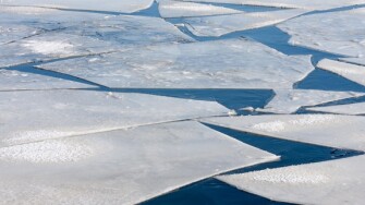 Pack ice from Alamy 18Apr24 575x375