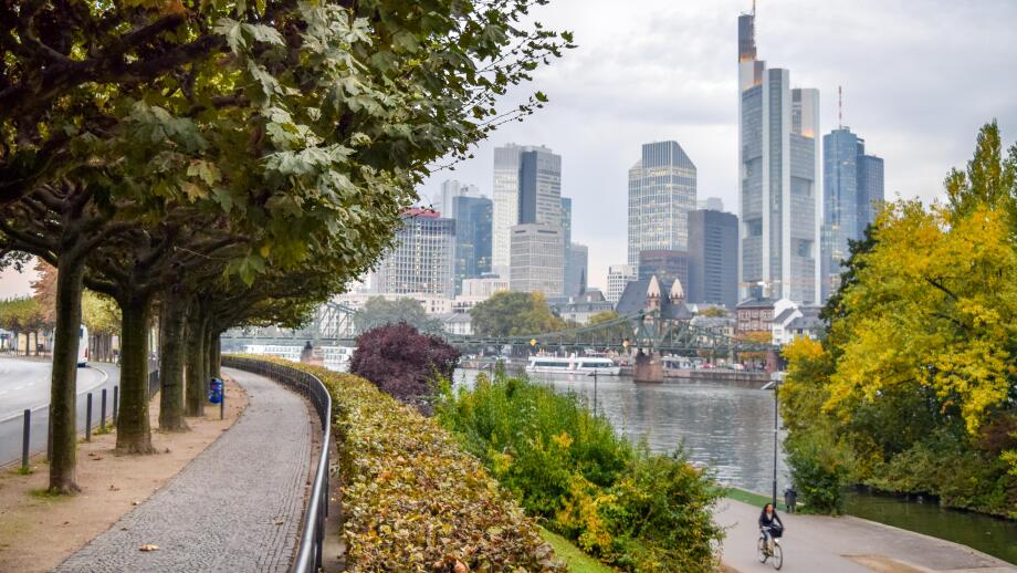 Walking and Bike Paths in Urban Riverside Park, with the Skyline of Downtown Frankfurt in the Background (Fall / Autumn) - Frankfurt, Germany