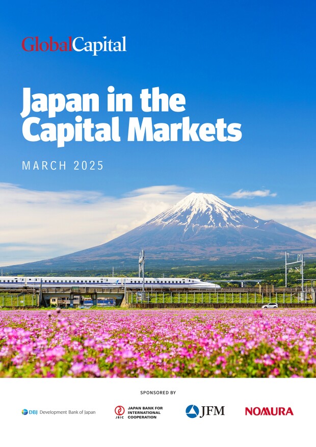 Japan-in-the-Capital-Markets---March-2025.jpg