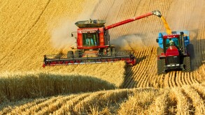 A Case IH combine harvests wheat while unloading ?on-the-go? into a grain cart pulled by a tracked tractor / Washington, USA.