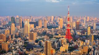Tokyo aerial panoramic view