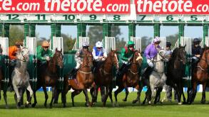 Horse Racing - 2014 Irish Champions Weekend - Day One - Leopardstown Racecourse