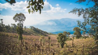 sugar cane, field, mountains, Guatemala, LatAm, 575, IMSA, Ingenio Magdalena