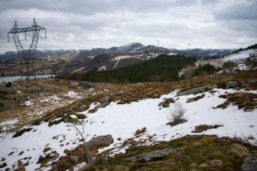 Norway from alamy 4 June 25.jpg