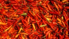 Red chili peppers in Mexico