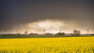 Landscape with wind turbines and fields of flowering rape seed and storm clouds behind. Osterlen, Skane, Sweden. Scandinavia.