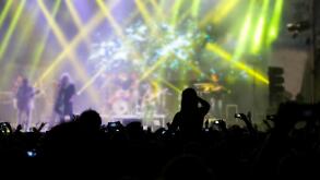Cheering crowd at a concert