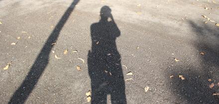 shadow of a person and a tree on the ground