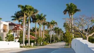 Fort Lauderdale, Florida, USA. View along exclusive Royal Palm Drive, a typical residential tree-lined avenue in the Nurmi Isles district.