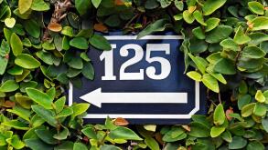 Street sign number 125 on a wall with plants