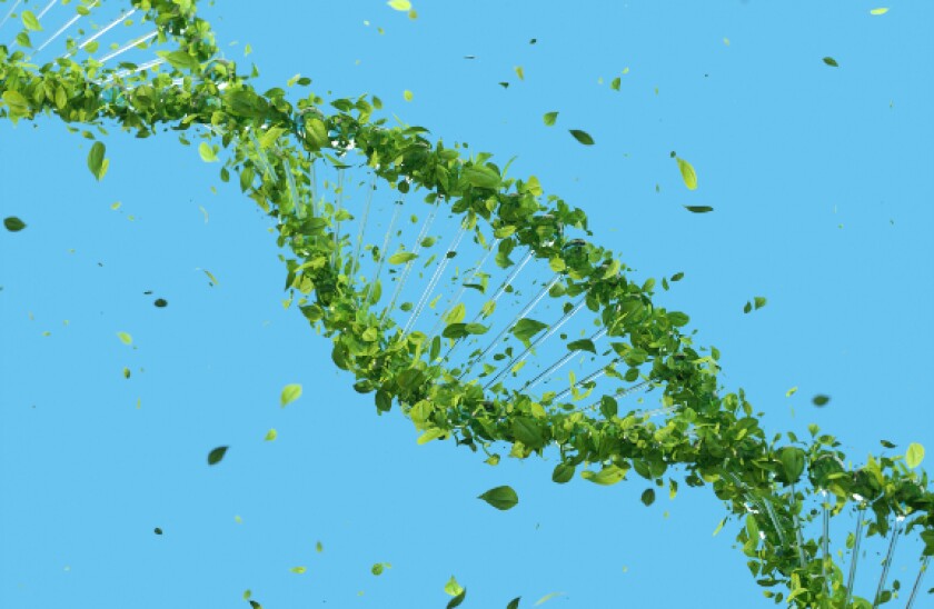 pexels green dna 575x375