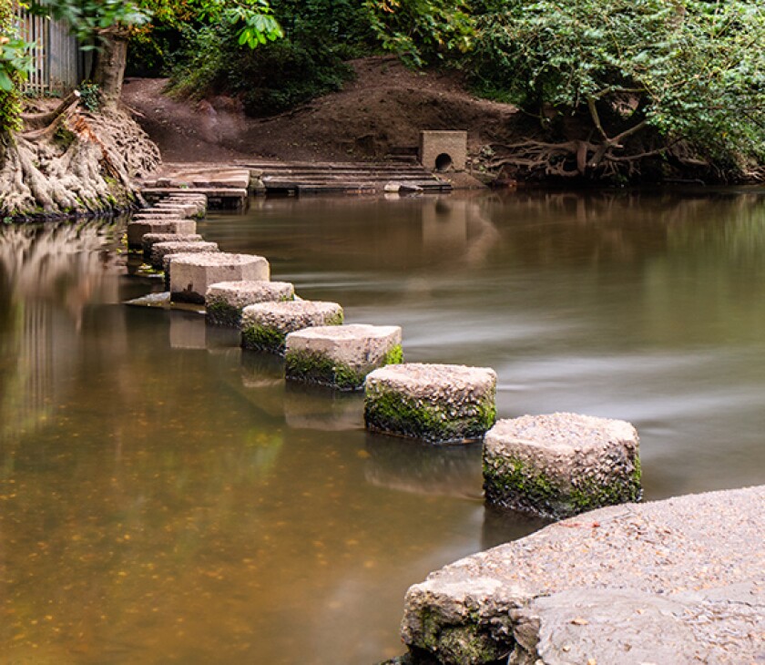 stepping-stone-as454995722.jpg