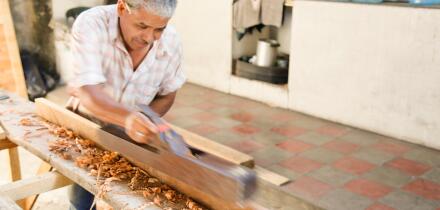 Carpenter in action, Santa Tecla, El Salvador