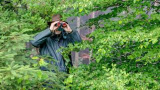Well camouflaged between the bushes, a hunter observes the hunting area through his binoculars on a rainy day.