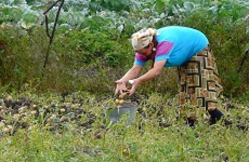 Armenia microfinance