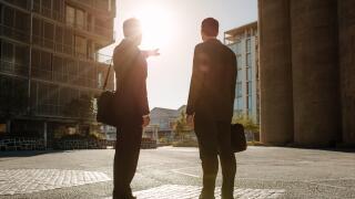 Rear view of business colleagues carrying office bags standing on street looking away with one person pointing towards a distant object. Business peop