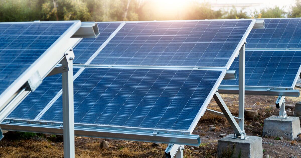 Pine Gate raises 500m for renewables fleet