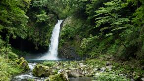 Lush green waterfall in Izu, Japan