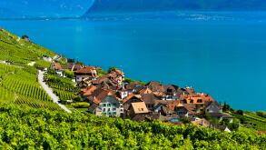 Winegrowing village Epesses at Lake Geneva in the UNESCO-listed Lavaux vineyard region, Vaud, Switzerland