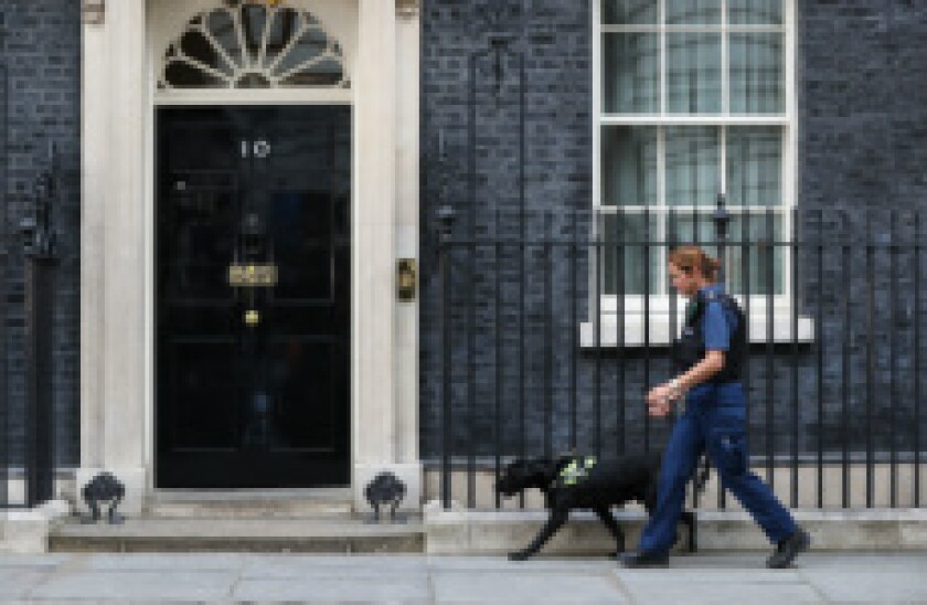 10_Downing_Street_Dog_9June2017_PA_230x150