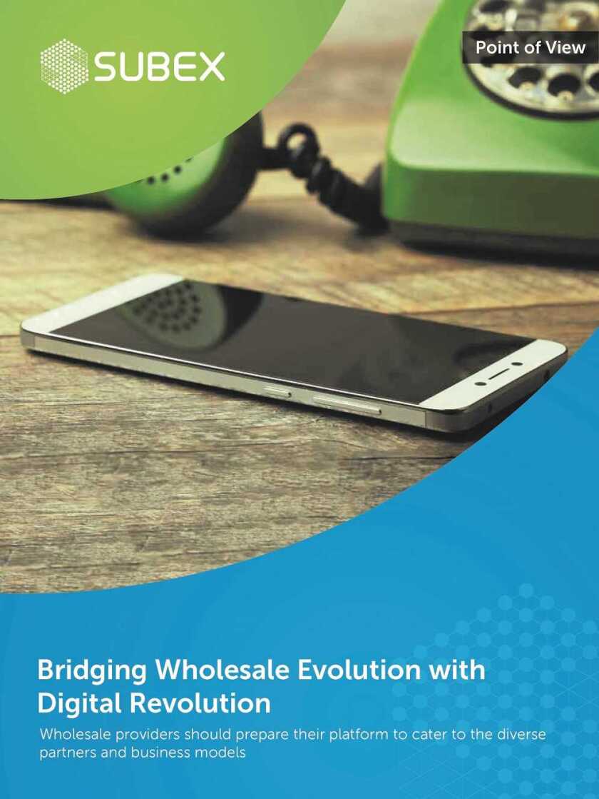 Pages from Bridging Wholesale Evolution with Digital Revolution 995.jpg