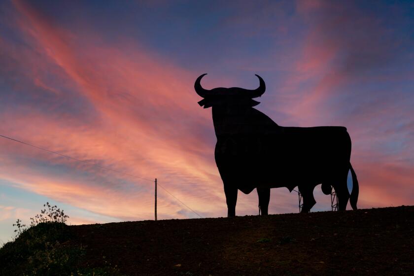 An Osborne Black Bull sign. This one is near Casabermeja, Malaga Province, Andalusia, southern Spain. The bull sign was originally made to advertise