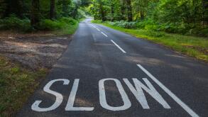 England, Hampshire, New Forest, Empty Road with Slow Sign and Trees