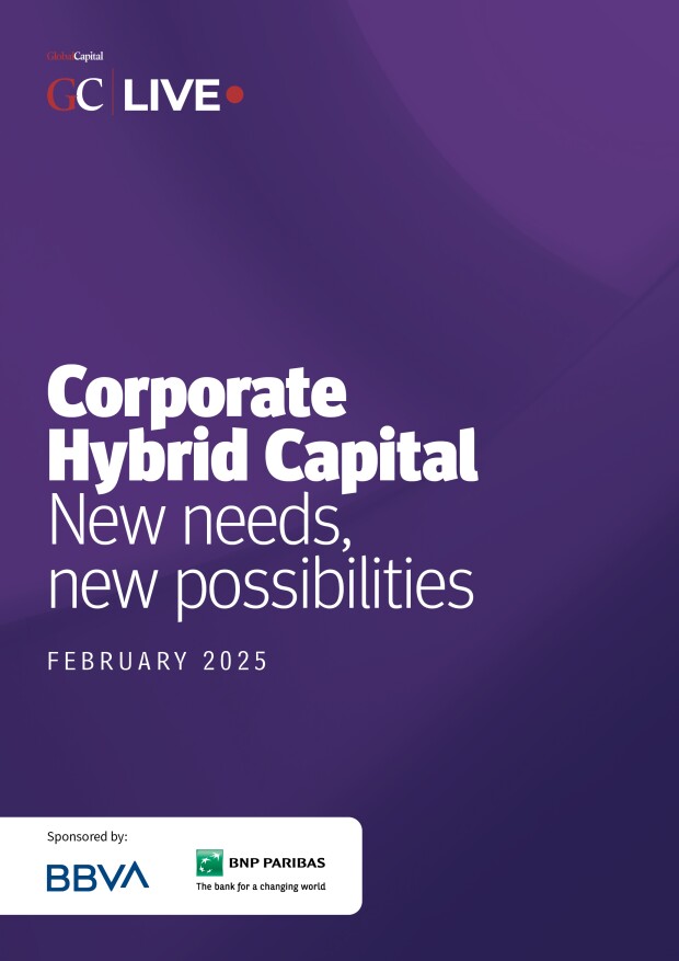 Corporate-Hybrid-Capital---Feb-2025.jpg