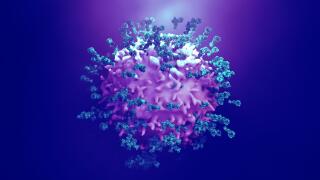 Antibodies attacking cancer cell, illustration
