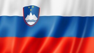 slovenia flag