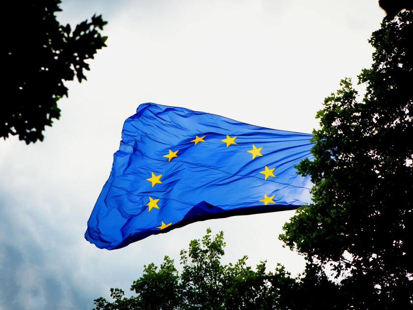 European Flag Behind Trees