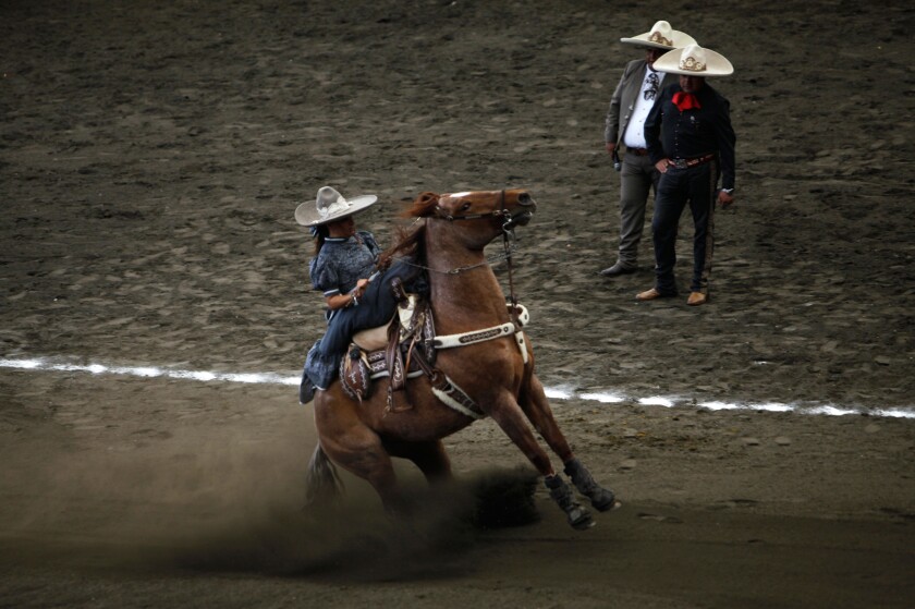 Rider pulling on reins from Alamy 23 Feb