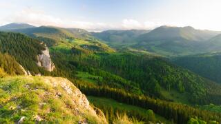 forest Carpathians mountains, Romania, Moldova, Moldavia, Moldau Carpathians, Lacul Rosu