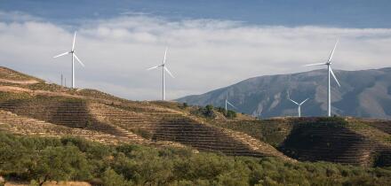 Olive grove and windmills, Lanjaron, Granada province, Region of Andalusia, Spain, Europe
