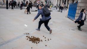 A member of the public chases a piece of paper near manure dropped by a City Police horse in the City of London, the capital's financial district, on 6th February 2024, in London, England.