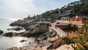 busan korea px230