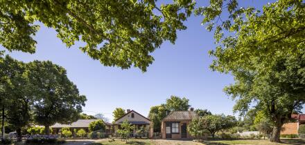 The suburban street with houses and trees in Beechworth, Victoria, Australia