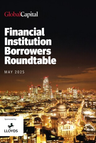 Financial-Institution-Borrowers-Roundtable---May-2025.jpg