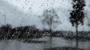 Dark and rainy day; raindrops on the windshield; tree shapes visible in the background; black and white