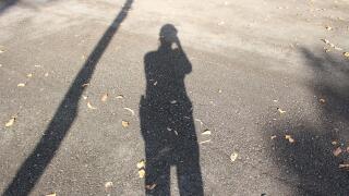 shadow of a person and a tree on the ground