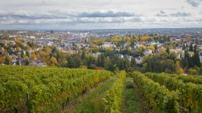 View to the German city of Wiesbaden seen from Neroberg